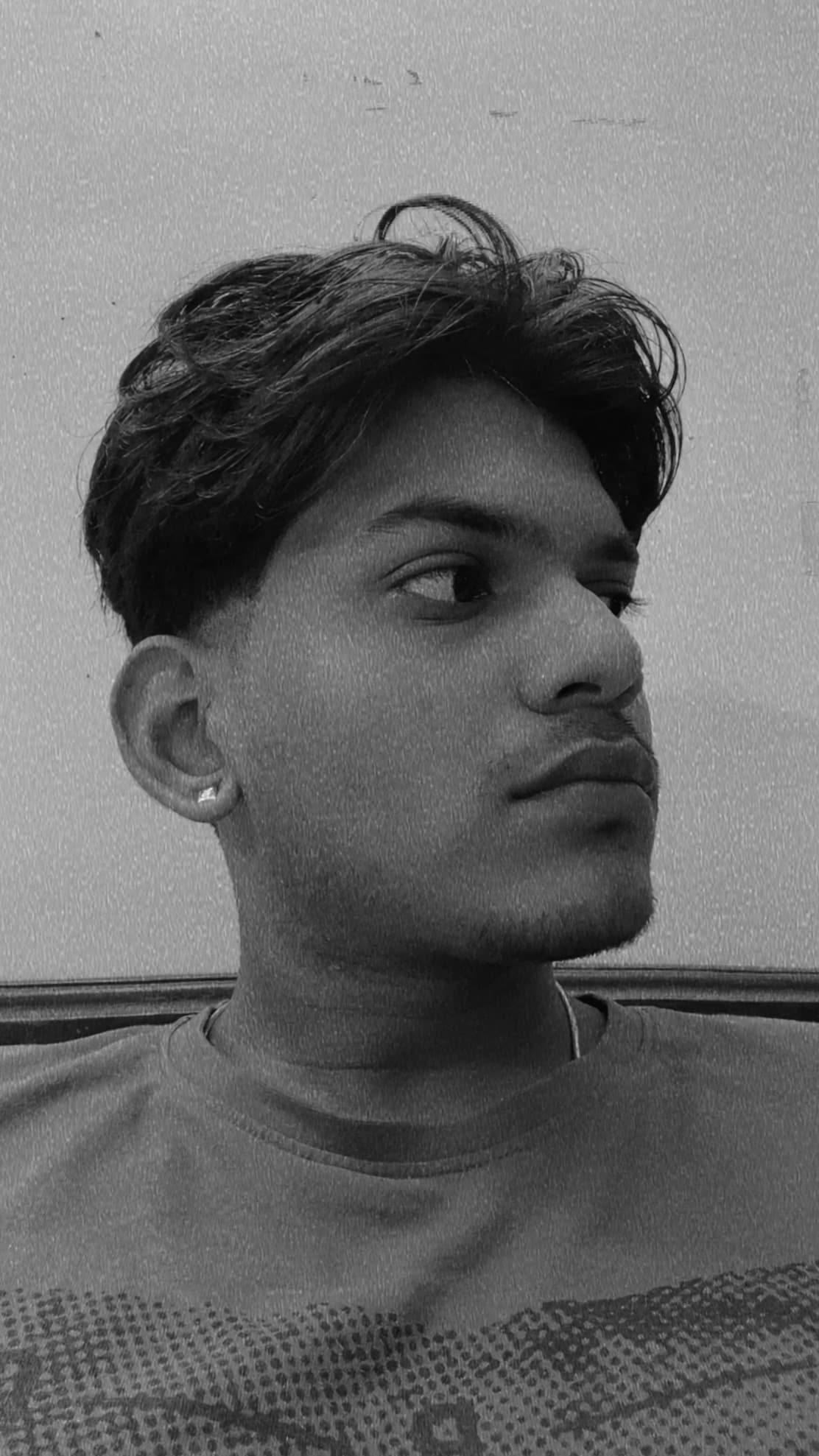 Portrait of Stallone, Head Of Development